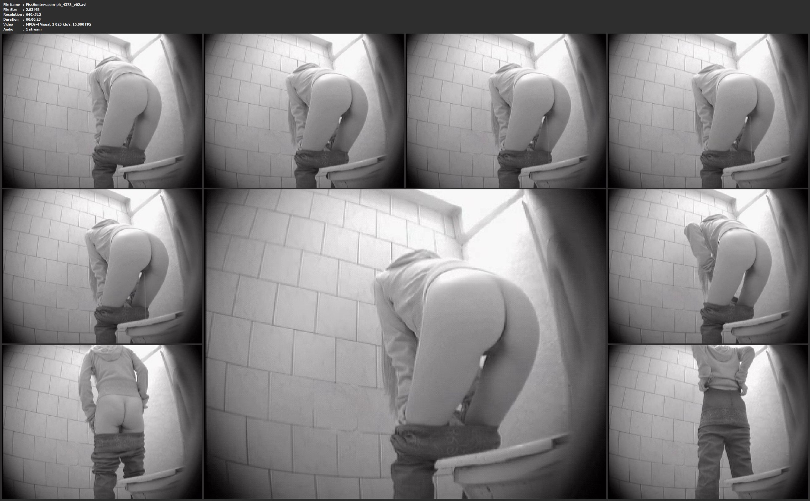 гей видео туалет скрытая камера фото 111